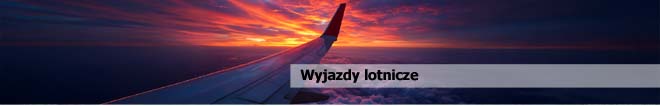 Lotnicze